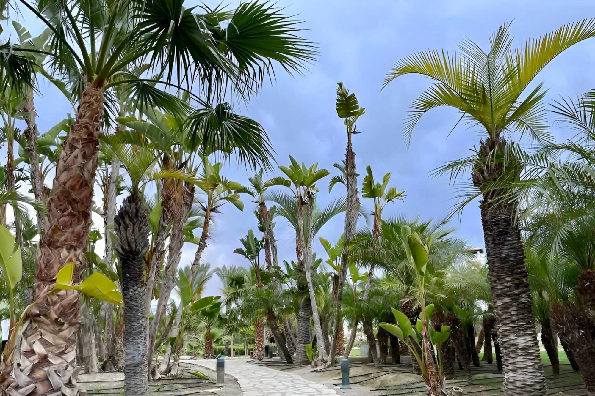 Hestia Vera Salinas Tu Hogar Para Desconectar Playas de Vera Esterno foto